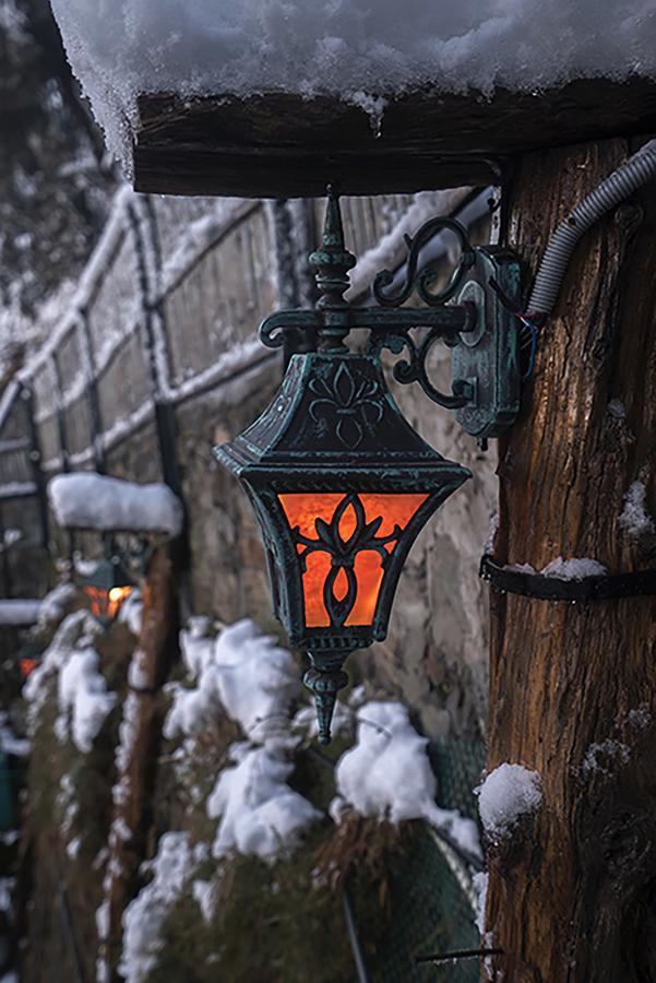 Meena Bagh Шимла Екстериор снимка